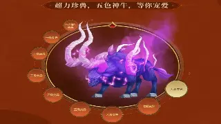 萌新速成指南：从零开始，告别手足无措